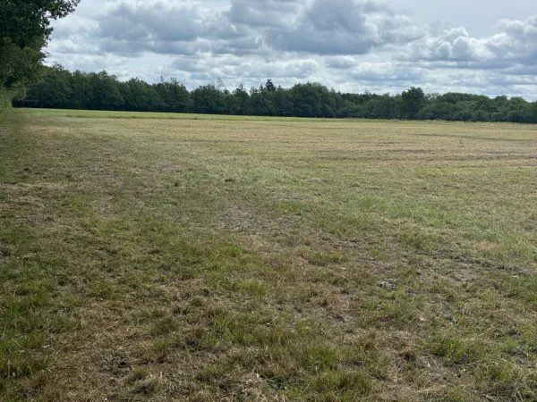 Vend prairies libre en Sologne Brinon sur Sauldre