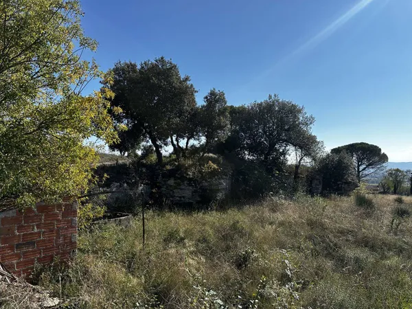 Terrain 1240 m²