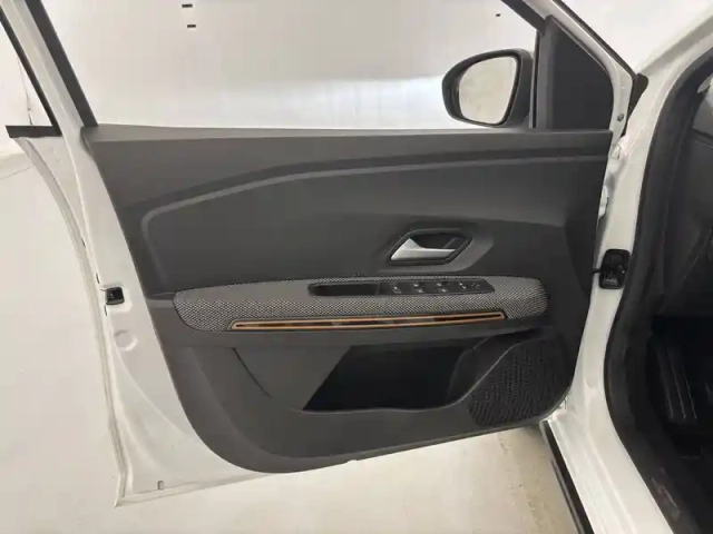 Dacia Sandero tce 90 — photo 20