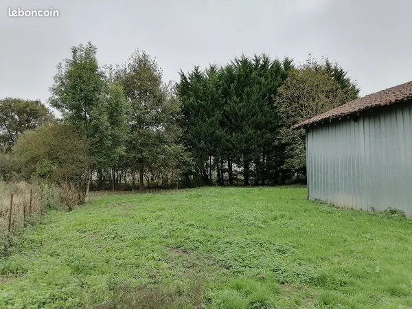 Maison petit prix entre Bellac et Confolens 40 m2 plus cave, grenier et hangar sur 1200 m2 de terrai