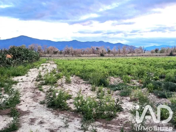 Terrain 69131 m²