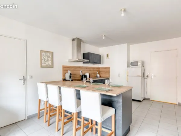 T2 meublé 46m2 Villeurbanne Grandclement