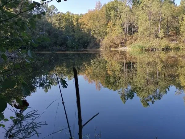 Plan d'eau Vente Baignes-Sainte-Radegonde 20862m² 45000€