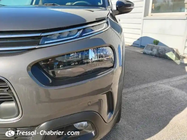 Citroën C4 cactus puretech 110 s&amp;s bvm6 shine — photo 3