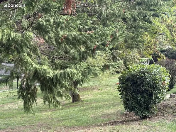 Terrain 1 050 m² Salleboeuf