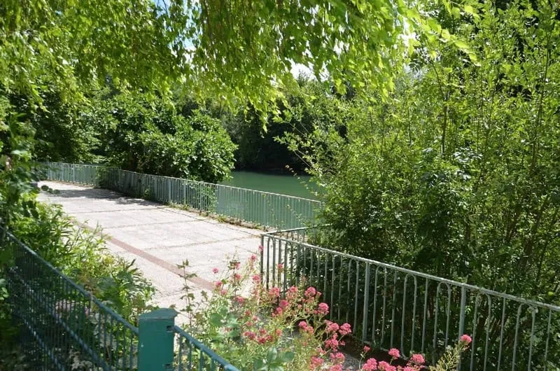 Photo 5