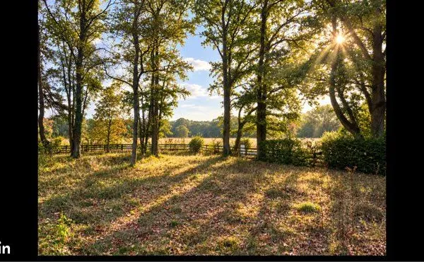 Montfort, l'Amaury, proche sur la commune de Grosrouvre, terrain de 1996m2