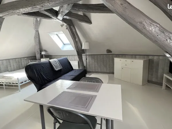 Grand Studio Meublé 35 m² Auxerre Centre Ville