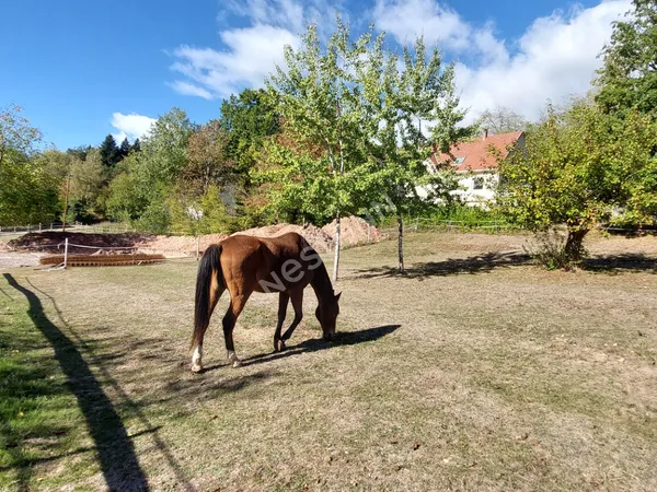 Beau terrain constructible, viabilisé, 8.03 ares au calme et nature préservée.