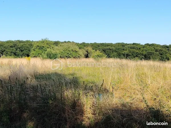 Terrain 2 597 m² Chateau Renault
