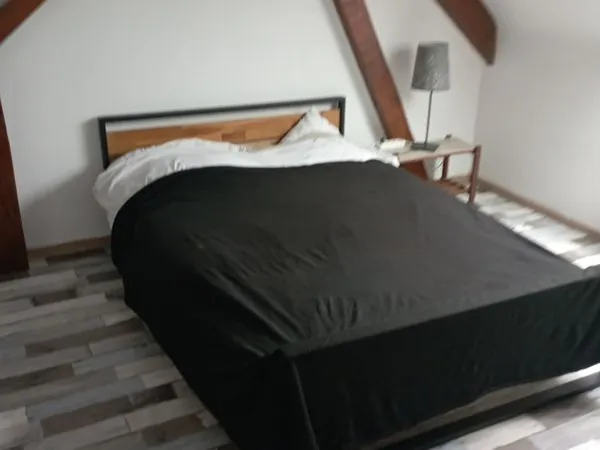 Colocation maison individuele