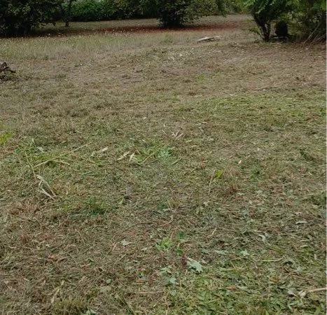 Terrain constructible : 2100m2