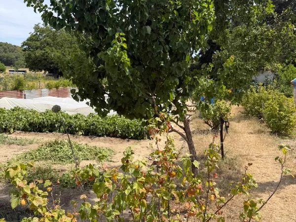 Terrain 1126 m²