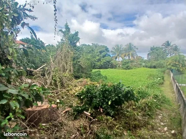 Terrain 2 034 m² Sainte Anne