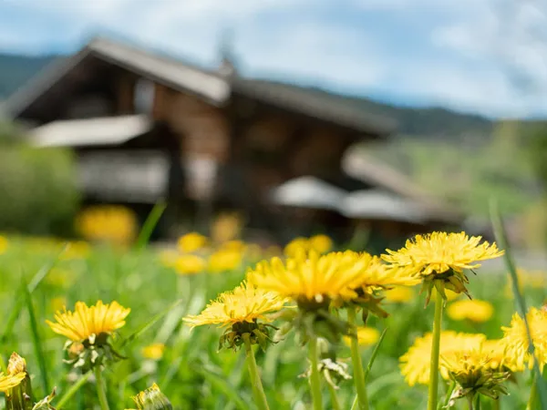 Un refuge discret à Megève
