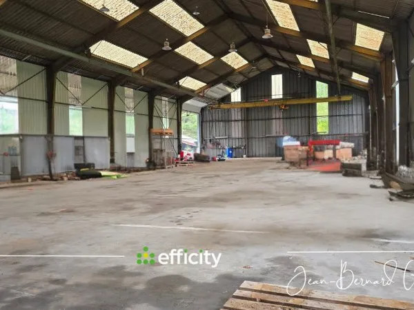 Local commercial 12 pièces 1290 m²