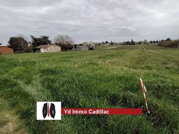 Terrain constructible d'environ 852 m²