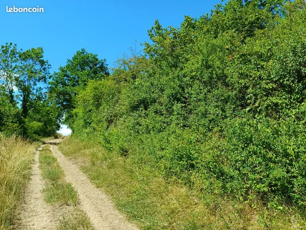 Terrain de loisirs - Belle surface avec belle vue dégagée