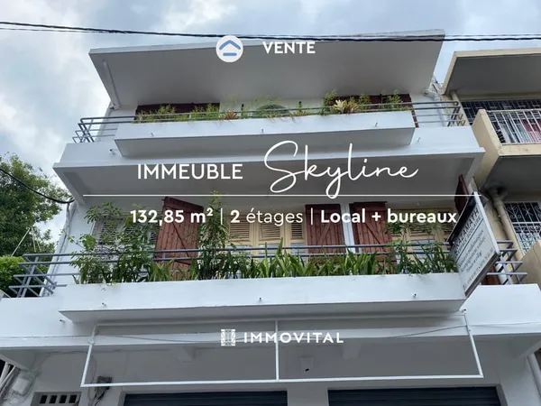 SUPERBE OPPORTUNITÉ D'INVESTISSEMENT : VENTE IMMEUBLE AVEC T