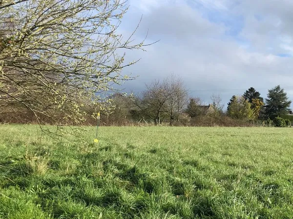 Terrain constructible 700m2 viabilisé - libre de constructeur - Châteauneuf d'Ille-et-Vilaine