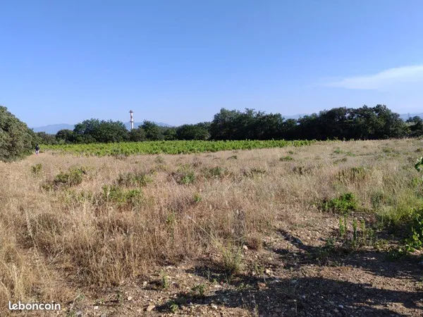Terrain à vendre proche Baho