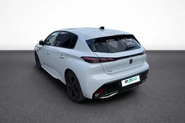 Peugeot 308 hybrid 145 e-dcs6 — photo 48