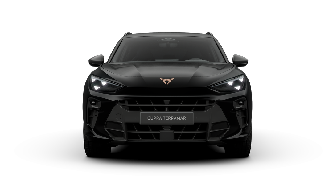 Cupra Terramar 1.5 eTSI Hybrid 150 ch DSG7 — photo 3