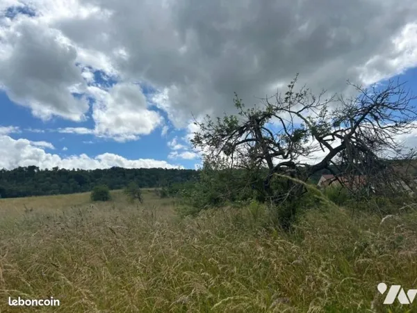 Terrain 3349 m² DORMANS
