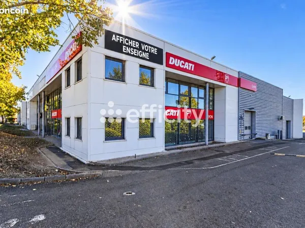 Bureau 150 m²