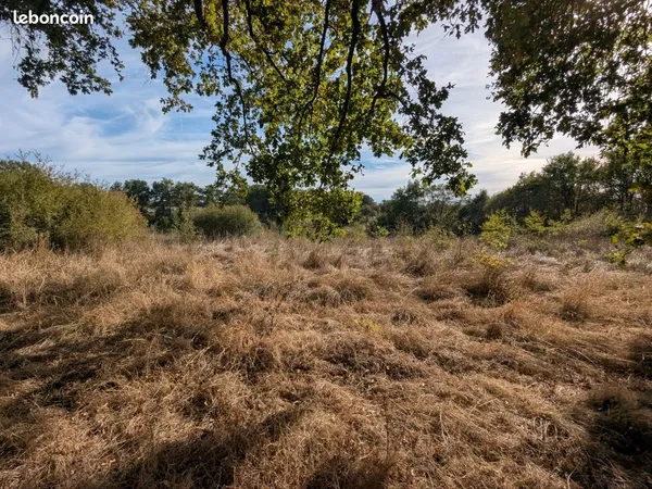 Terrain agricole