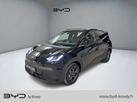 Byd Dolphin surf comfort 115 kw