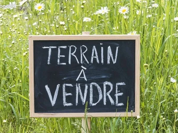 🌳 GRAND TERRAIN DE 9 100 m² - 1 600 m² CONSTRUCTIBLES - MONTcel (63460)