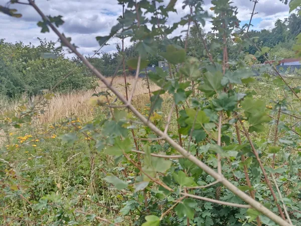 Terrain à bâtir 450m2