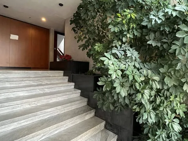 Bureau 1 pièce 125 m²