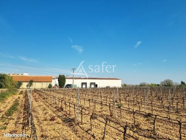 Maison avec terrain 4 pièces 125 m²