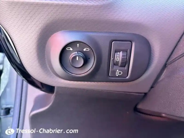 Citroën C4 cactus bluehdi 100 s&amp;s bvm6 shine — photo 15
