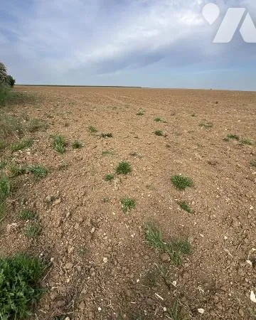 Terrain 1104 m²