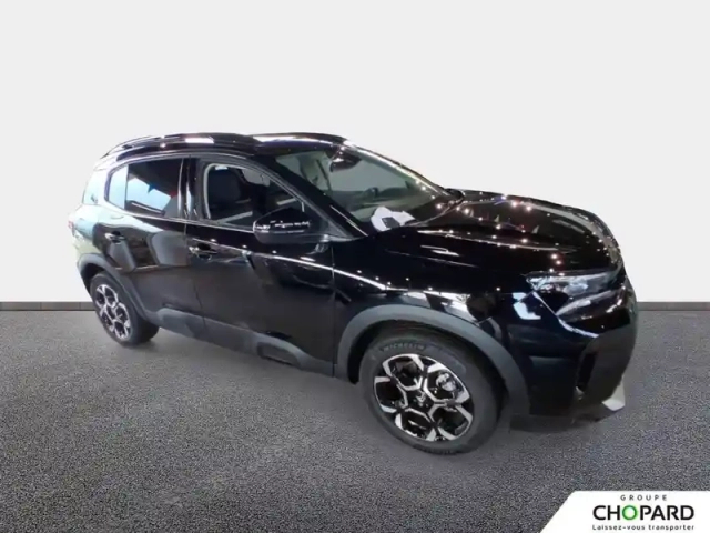 Citroën C5 Aircross bluehdi 130 eat8 — photo 20