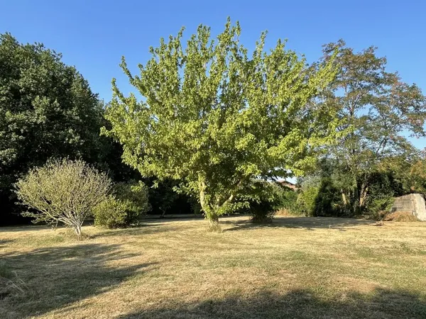 Vends terrain constructible - 1066m²