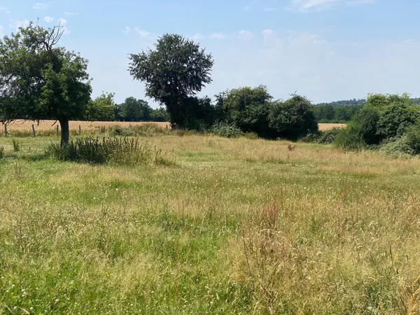 Terrain à bâtir de 3438 m², non viabilisé, La Bazoque