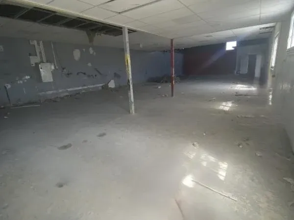 Local 1 pièce 500 m²
