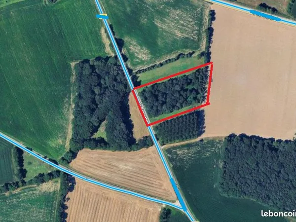 Parcelle boisée/Bois - Le Coudray à PLESDER