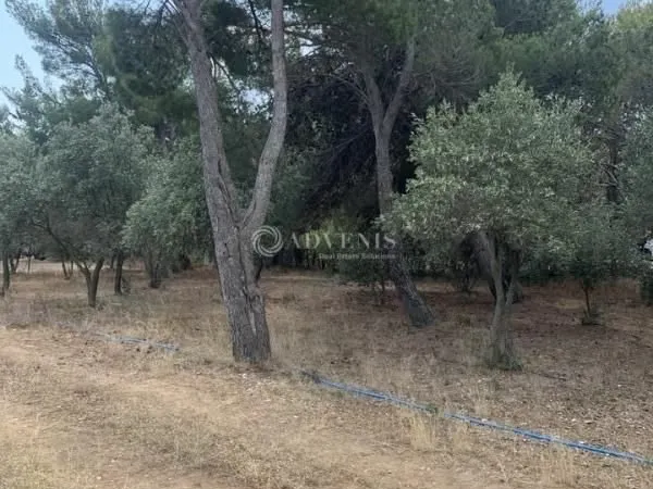 Terrain 2 733 m² Narbonne