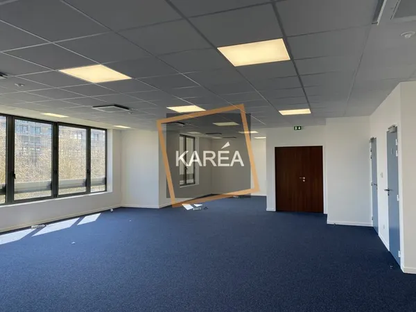 Local professionnel 703 m²