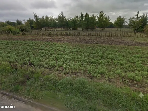 Terrain 1000m2