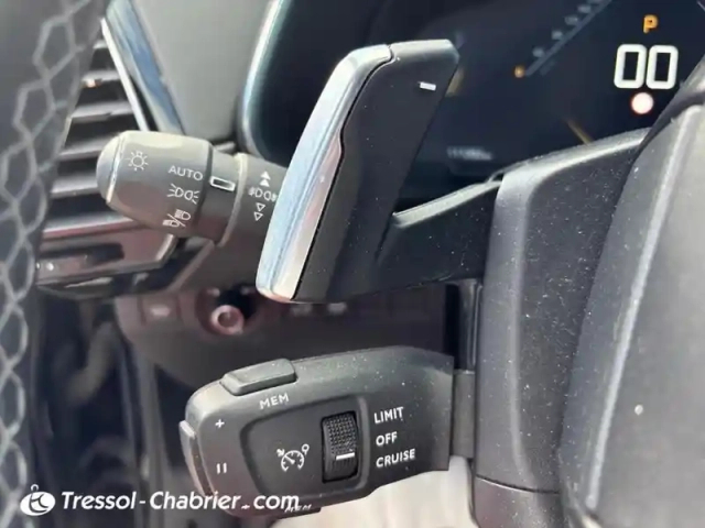 Ds Ds 7 ds7 crossback bluehdi 130 eat8 rivoli — photo 17