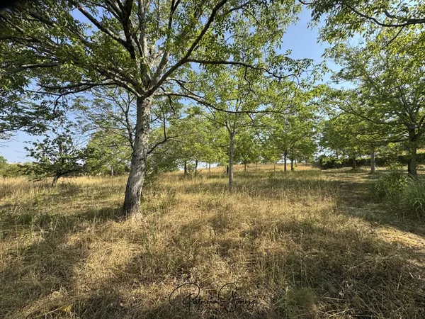 TERRAIN A BATIR DE 3 500 M2 QUARTIER PRISÉ A 3 KM DE L'ALBIN