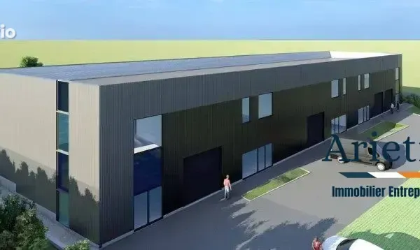 Commerce 227 m²