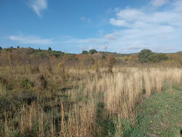 Terrain en individuel 13600 m²