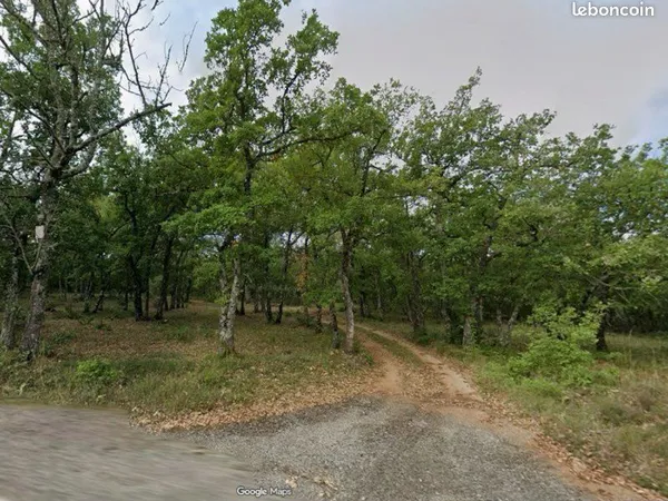 🌲 6,94 ha de terrain boisé - esparron (83560) - idéal chasse